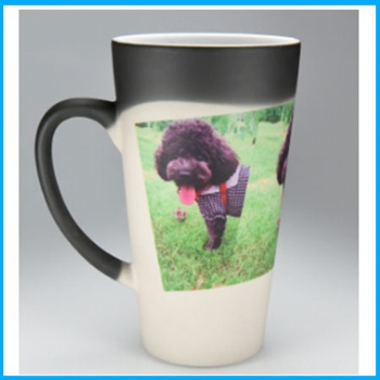 16oz cone magic mug	